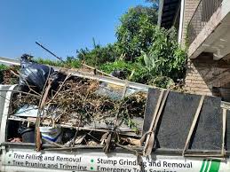 Best Basement Cleanout  in Glendale, AZ